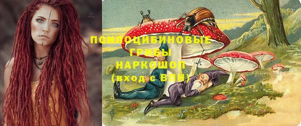 индика Пестово