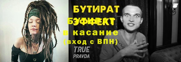 индика Пестово