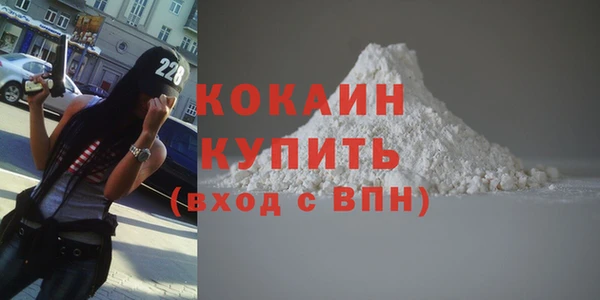 индика Пестово