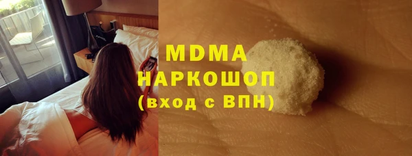 индика Пестово