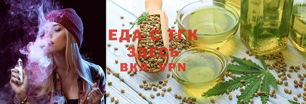 индика Пестово