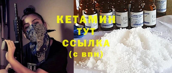 индика Пестово