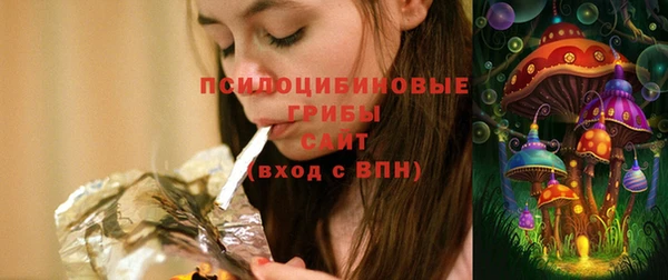 индика Пестово