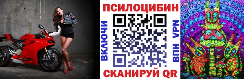 сколько стоит  Рыльск  Галлюциногенные грибы Cubensis 